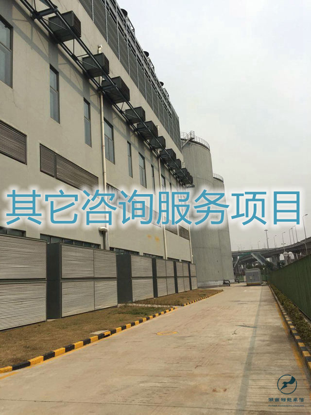 其它咨詢服務項目