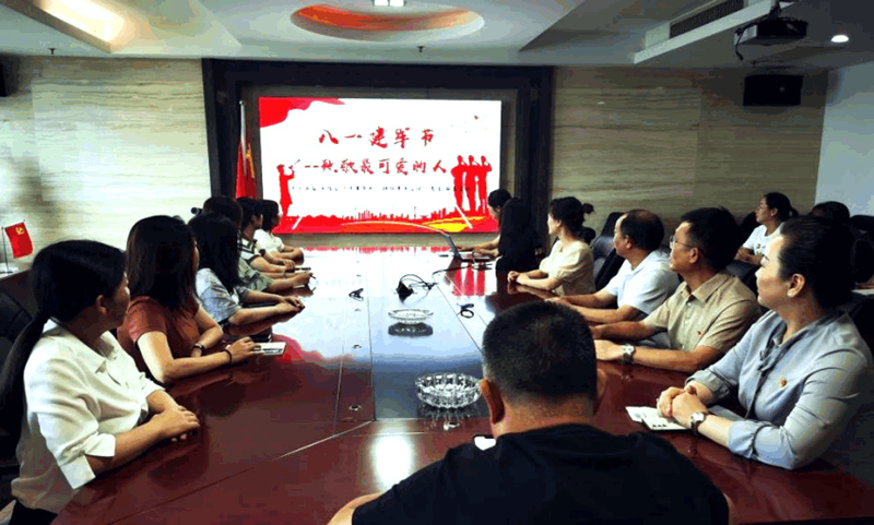 黨總支組織開(kāi)展“崢嶸歲月，致敬最可愛(ài)的人”主題黨日活動(dòng)